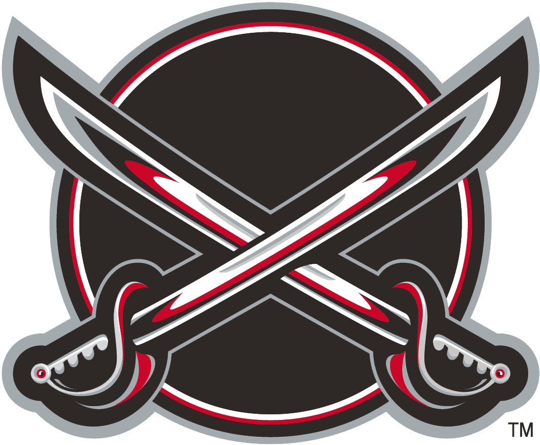 Buffalo Sabres 2000-2006 Alternate Logo iron on heat transfer